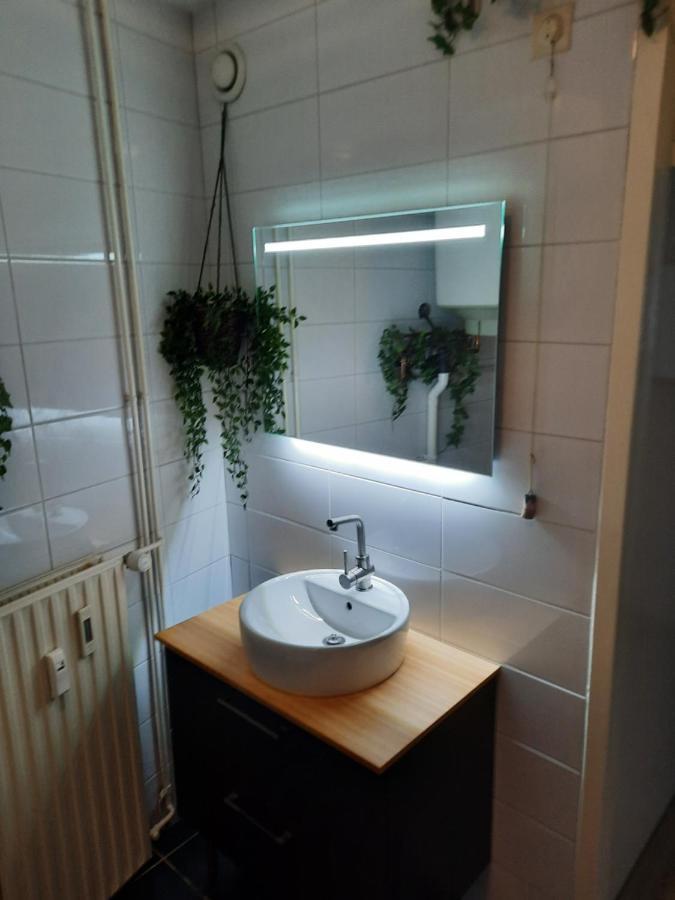 Apartment Duinvos 150M From The Beach Нордвейк Екстер'єр фото