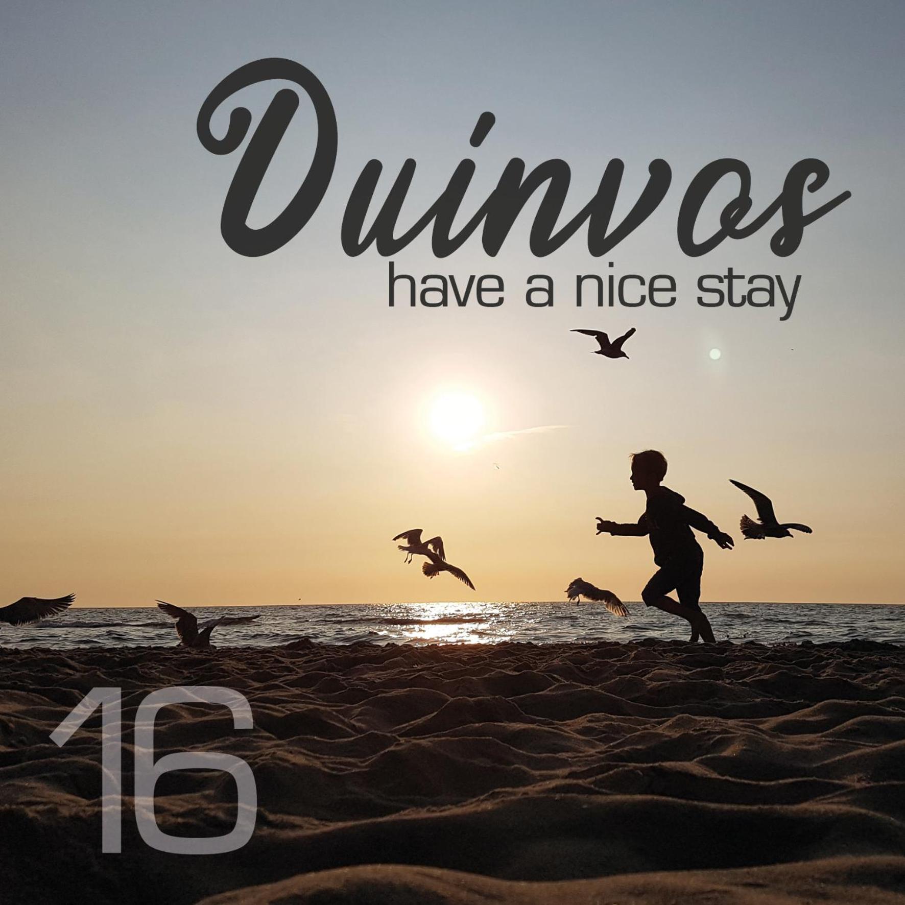 Apartment Duinvos 150M From The Beach Нордвейк Екстер'єр фото